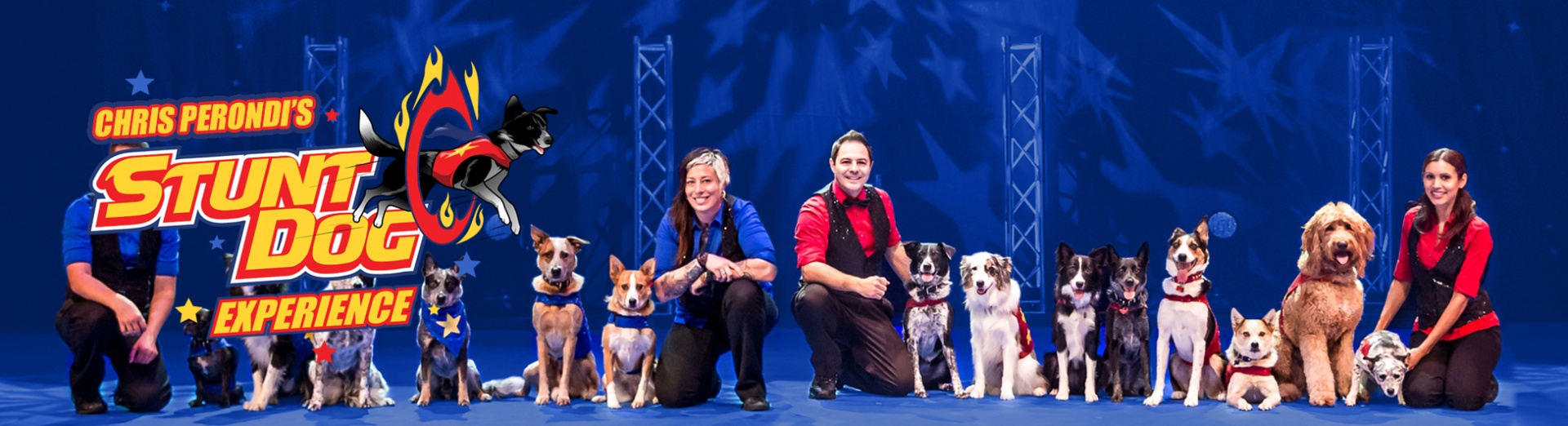 The trainers and dogs of the show lined up and posing on stage.
