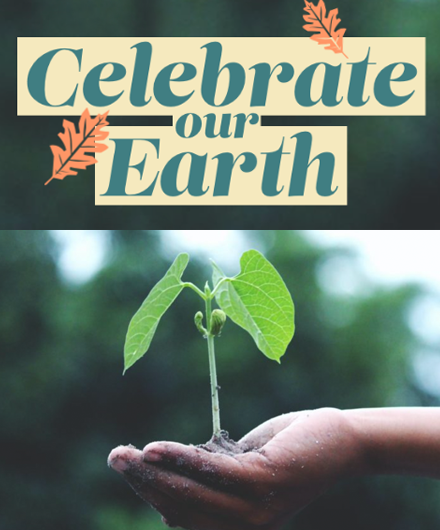 A young plant held in the palm of a hand with the headline Celebrate our Earth.